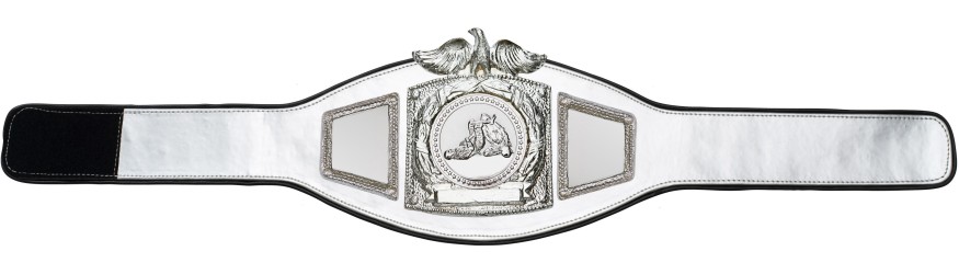 PROEAGLE JIU JITSU CHAMPIONSHIP BELT - PROEAGLE/S/JJS - AVAILABLE IN 6+ COLOURS PROEAGLE JIU JITSU CHAMPIONSHIP BELT - PROEAGLE/S/JJS - AVAILABLE IN 6+ COLOURS